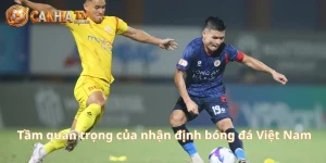 Soi Kèo V.League Cùng Bí Kíp Phân Tích Cục Diện Trận Đấu
